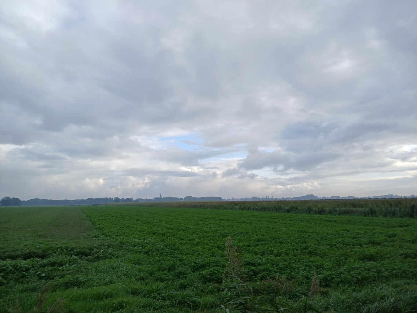 Leens - Eenrum · Groninger Borgenpad etappe 6