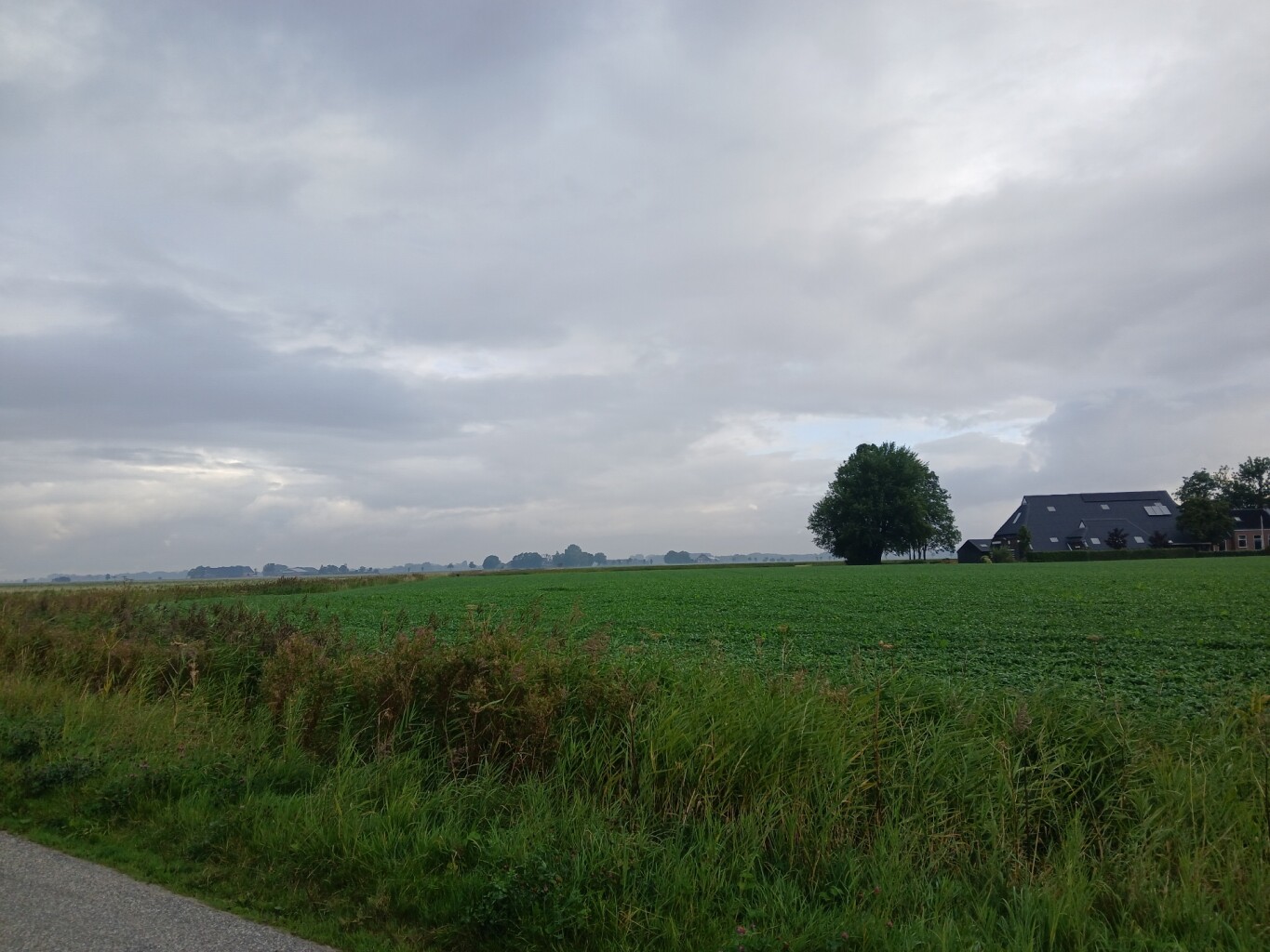 Leens - Eenrum · Groninger Borgenpad etappe 6