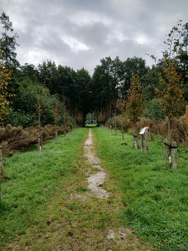 Leens - Eenrum · Groninger Borgenpad etappe 6