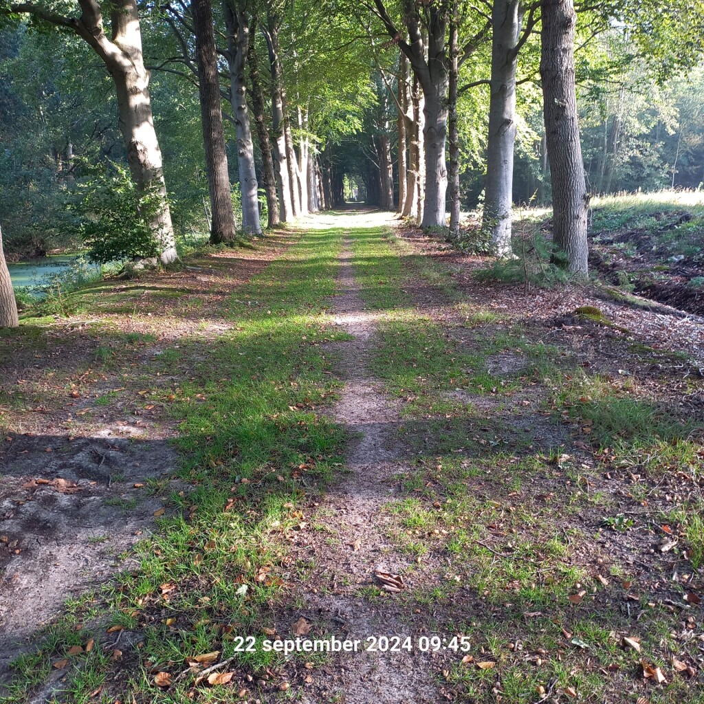 Groene route – Fochteloërveenroute Veenhuizen