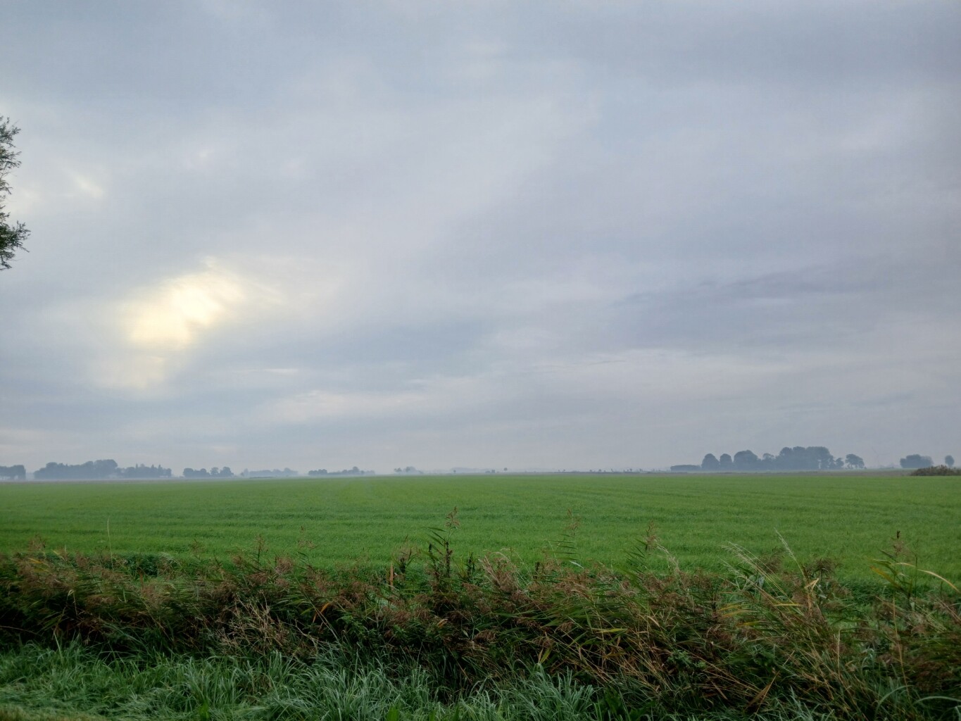 Eenrum - Warffum · Groninger Borgenpad etappe 7