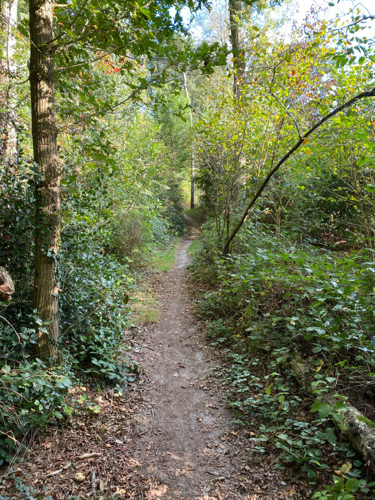 Hubroute Zuidwolde: tussen Zuidwolde en Klein Zwitserland