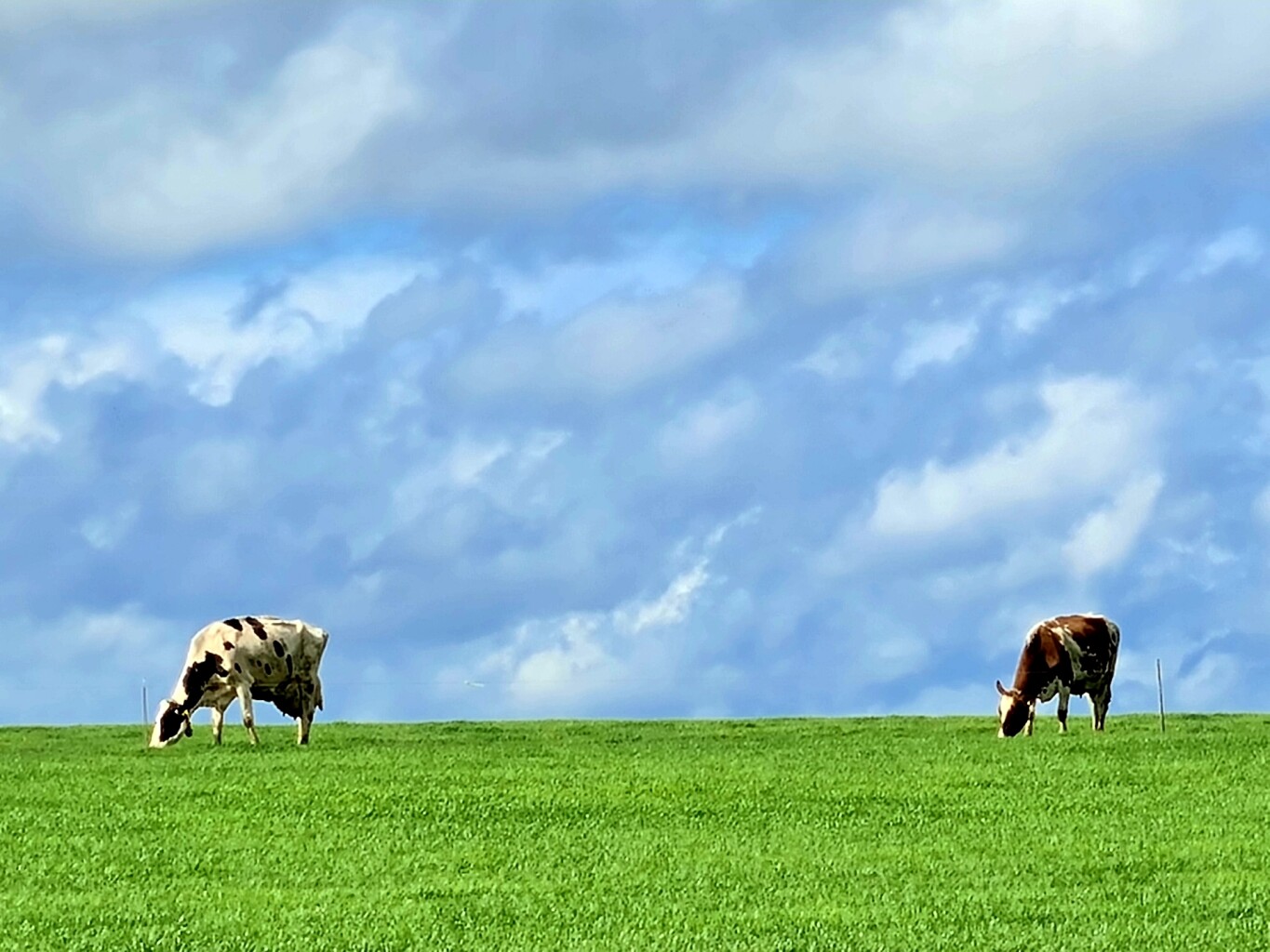 Gulpen - Maastricht station · Krijtlandpad etappe 5