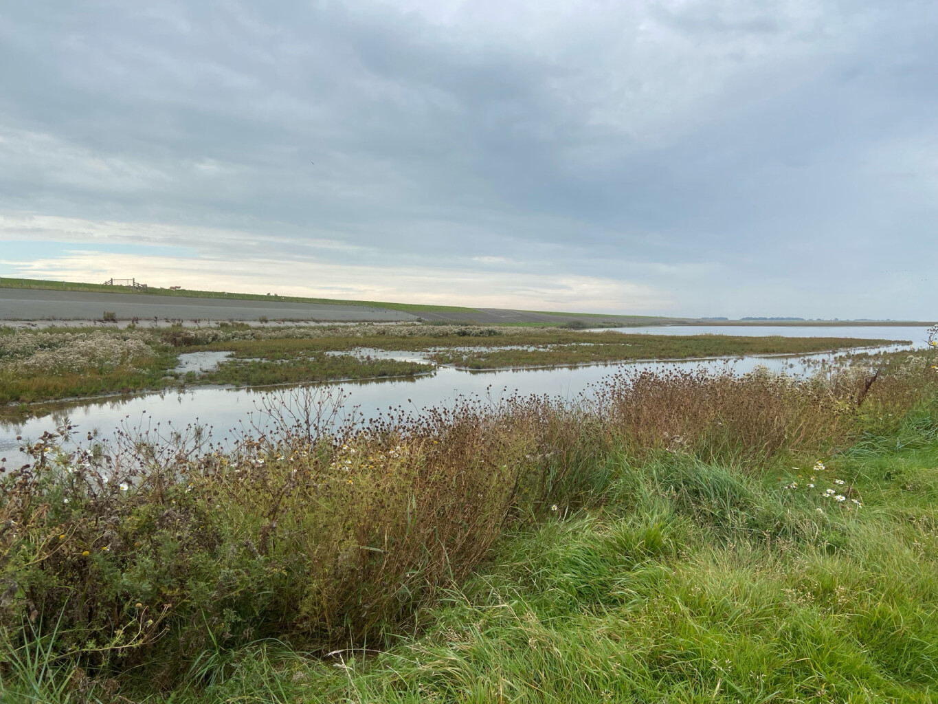 Anjum - Peasens - Oostmahorn | Bonifatius Kloosterpad: rondje 2