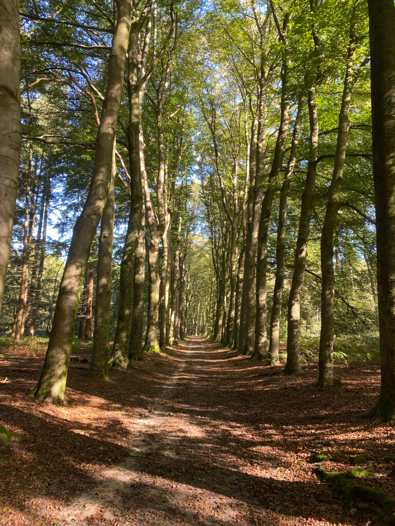 Wageningen - Rhenen · Pad van de Vrijheid etappe 1