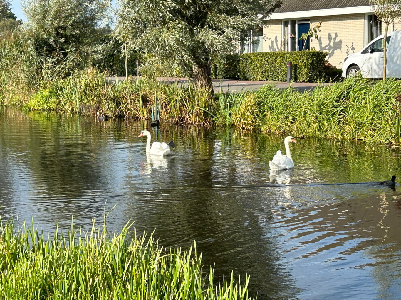 Noorden - Rijnsaterwoude · Marskramerpad etappe 17