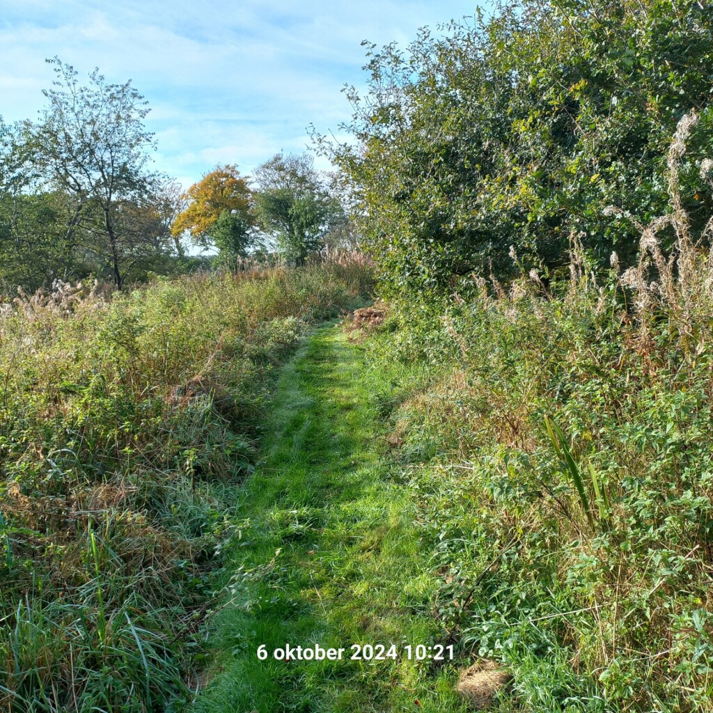 Wandelroute Oude Willem