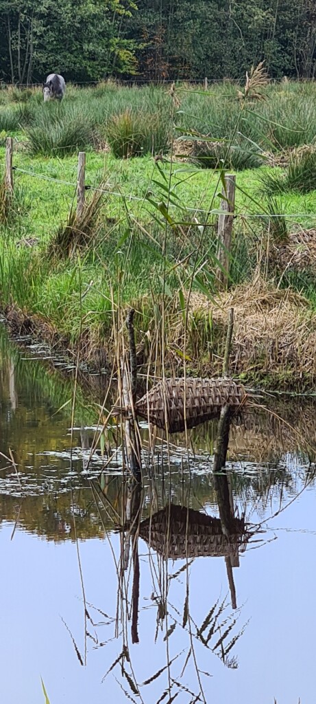 Nunspeet - Oosterwolde · Zuiderzeepad etappe 14