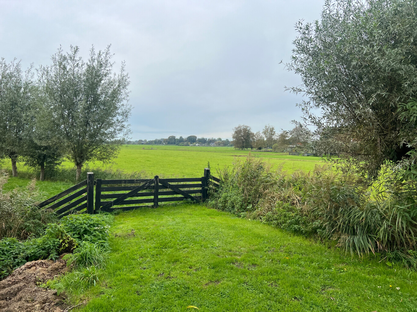 Spiegelplasroute (blauw)