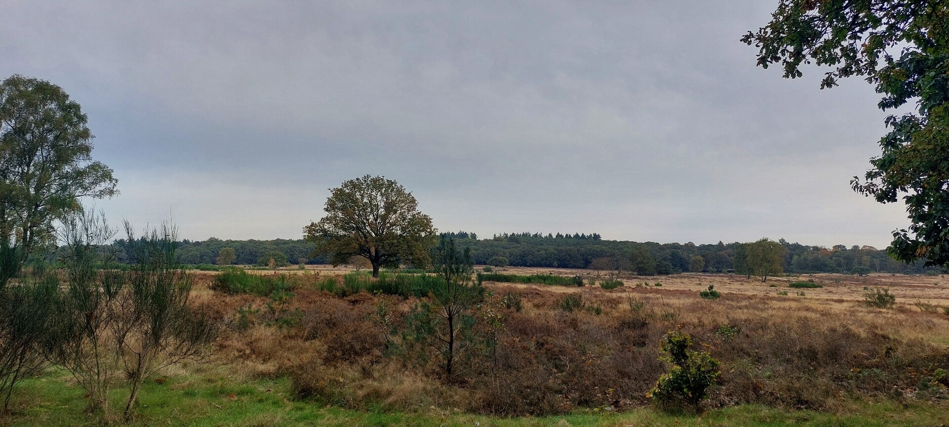 Hollandse Rading - Maarssen · Utrechtpad etappe 10