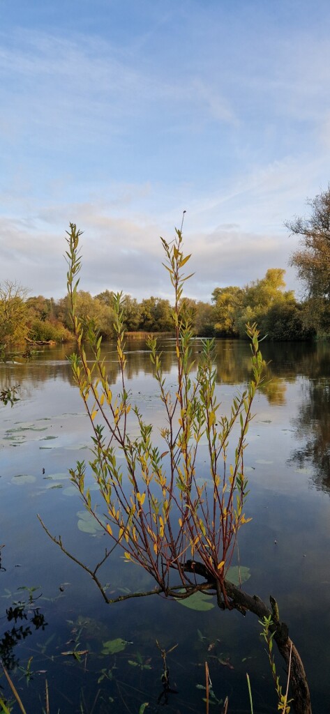 Heuzesepad Opheusden
