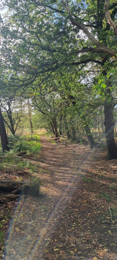 Wezuperbrug - De Kiel · Cultuurpad Coevorden etappe 10