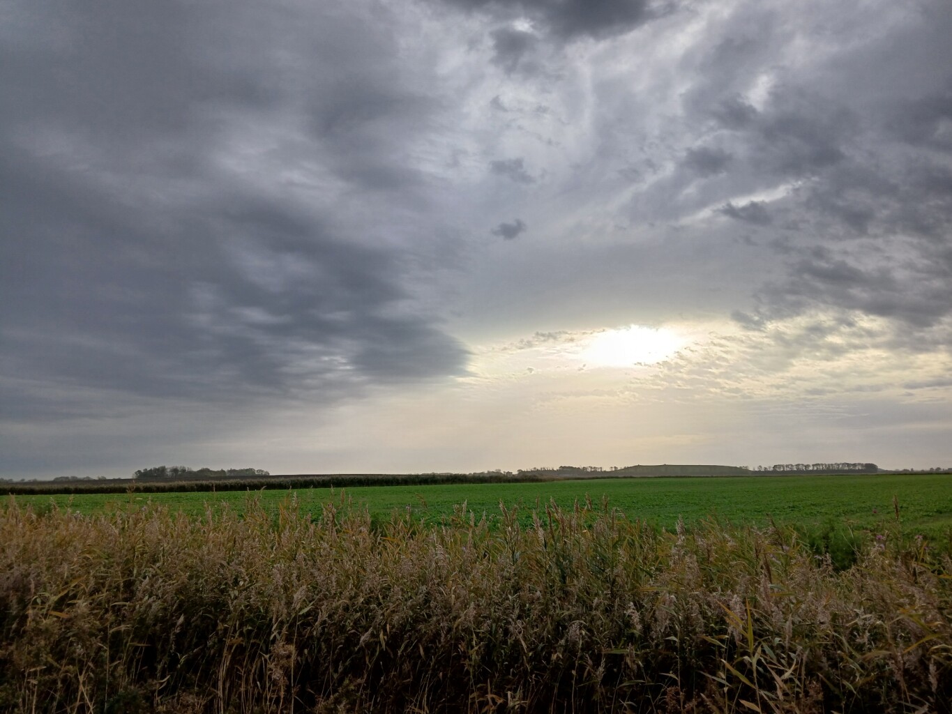 Warffum - Uithuizen · Groninger Borgenpad etappe 8