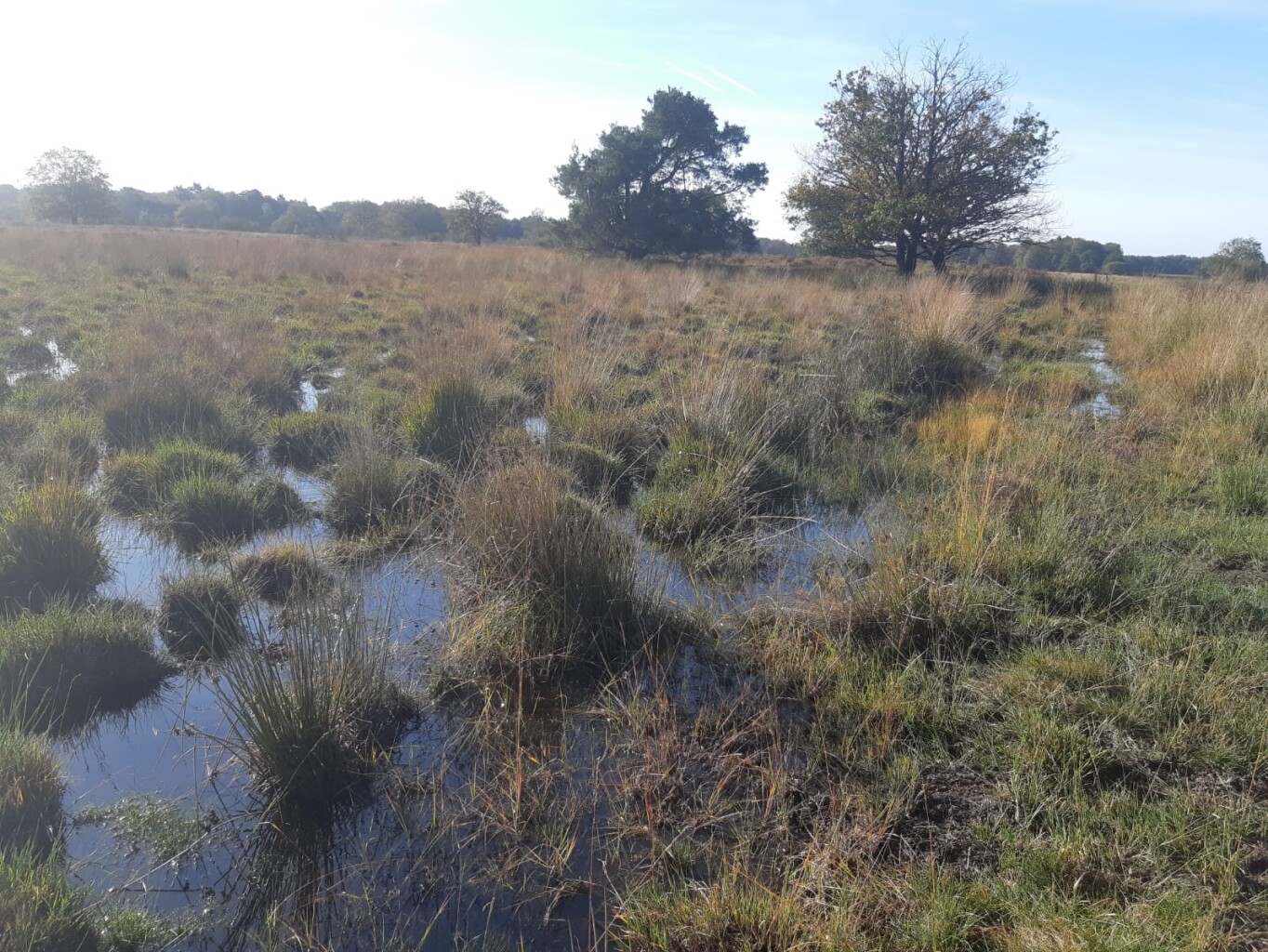 Leggelderveld - Blauwe Meer · De Ster van Dwingeloo etappe 3