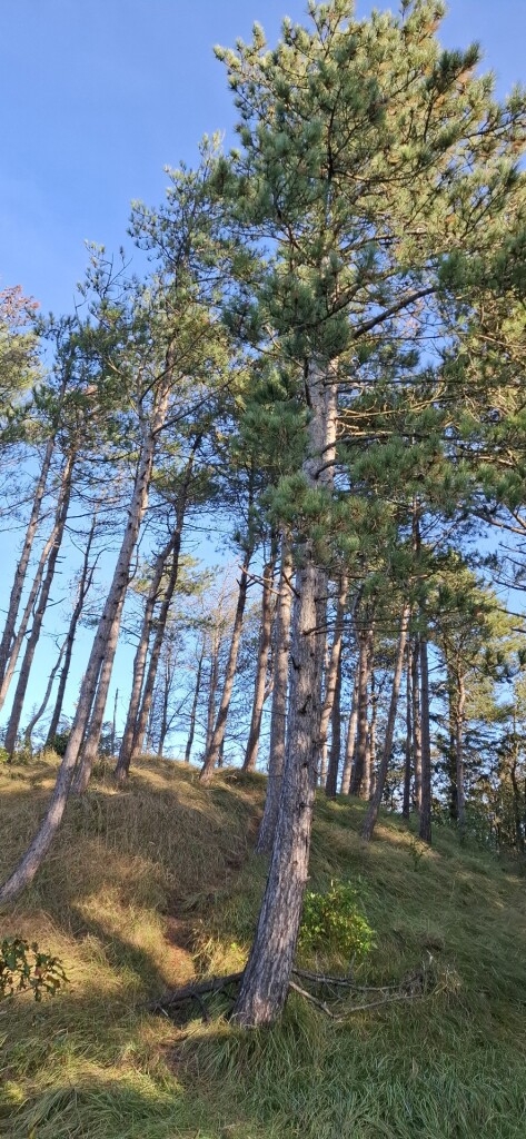 Groet - Callantsoog · Nederlands Kustpad 2 etappe 10