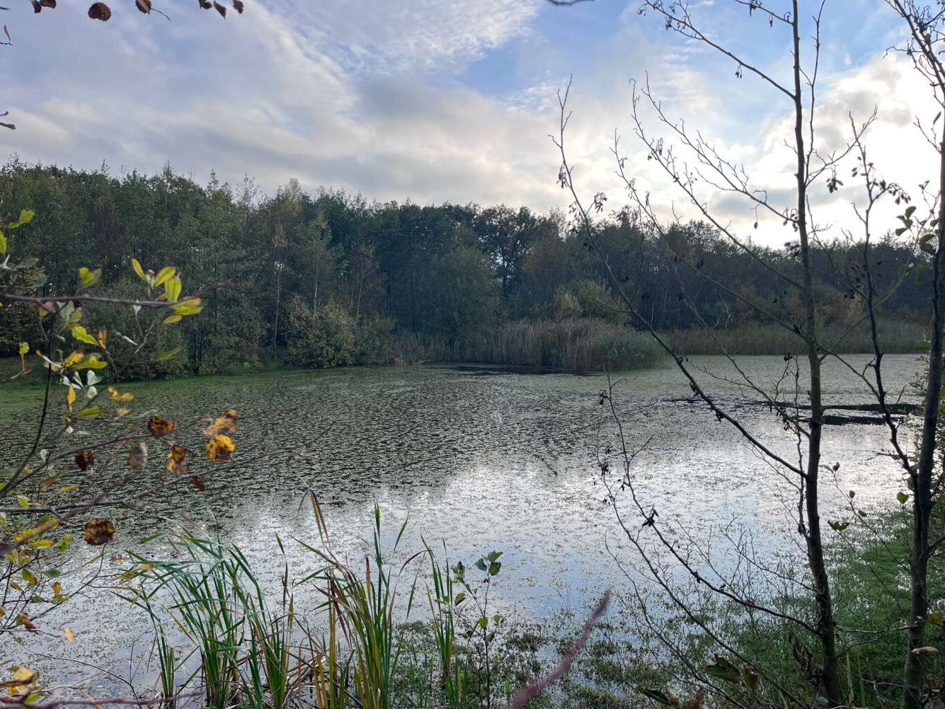 Wandelroute Westerbroek (Groningen)