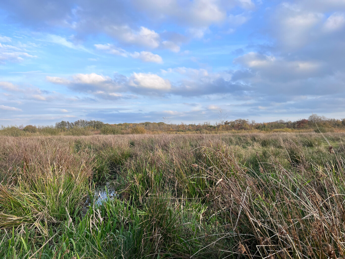 Wandelroute Westerbroek (Groningen)