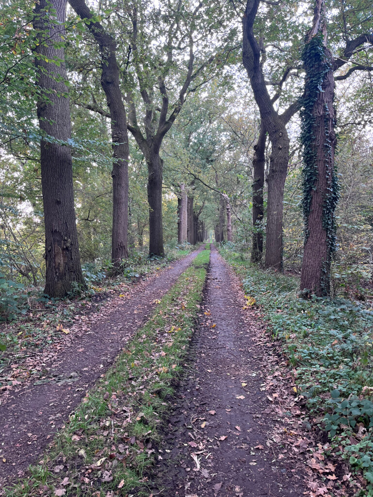 Wandelroute Westerbroek (Groningen)