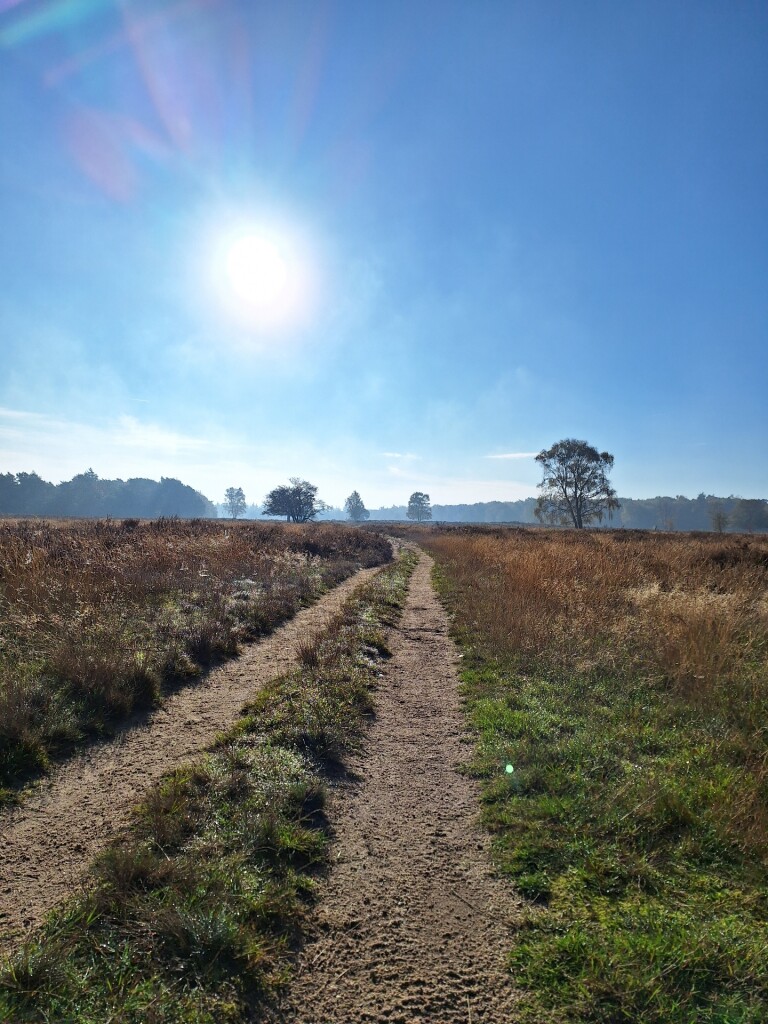 Blaricummerheideroute (blauw)