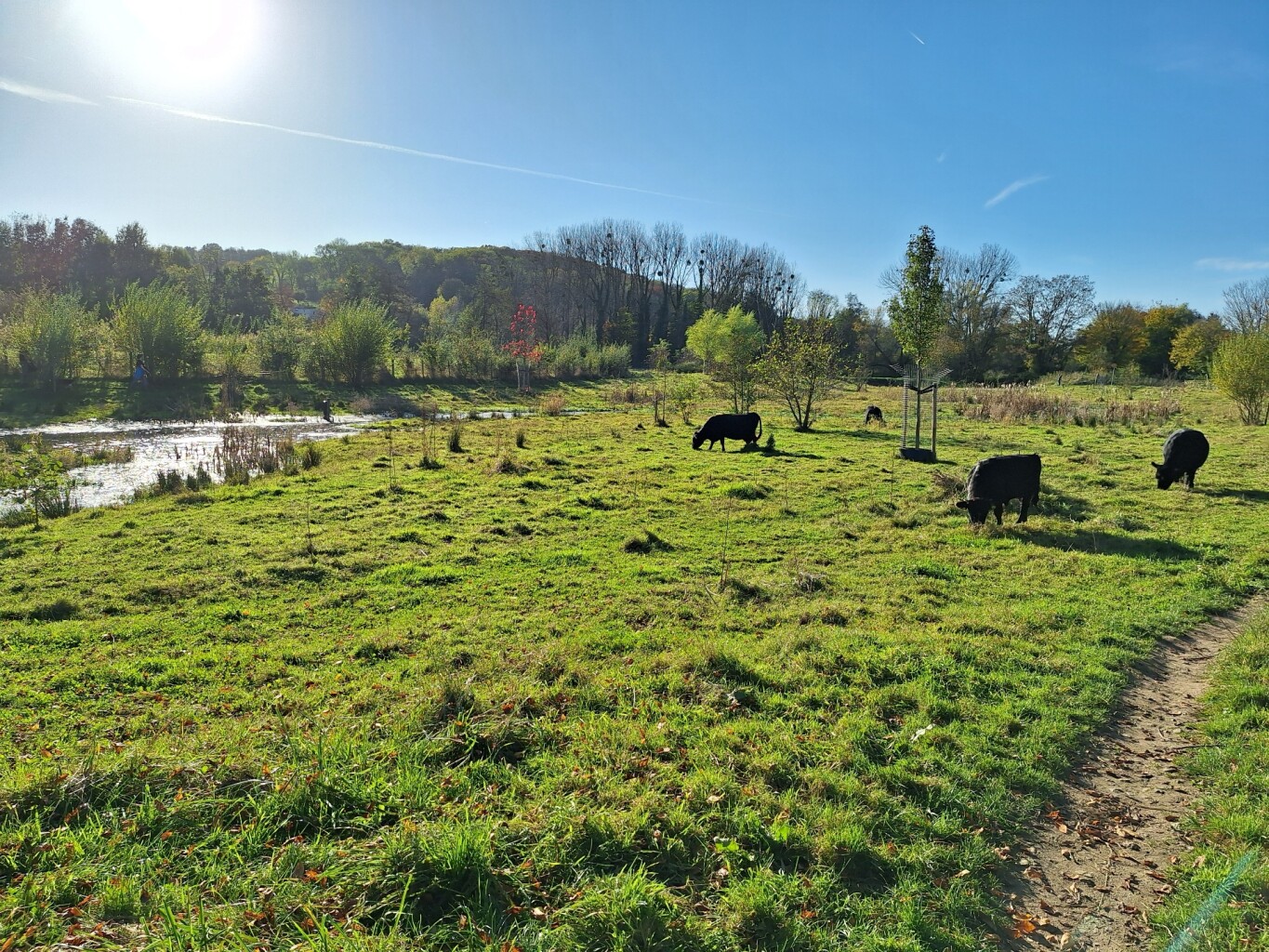 Hoogtewandeling Valkenburg aan de Geul