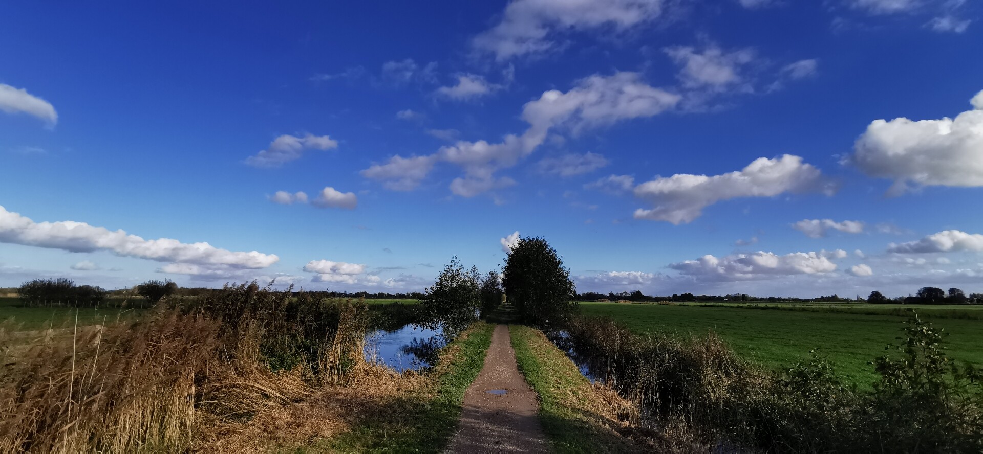 Kamerik Teylingenpad