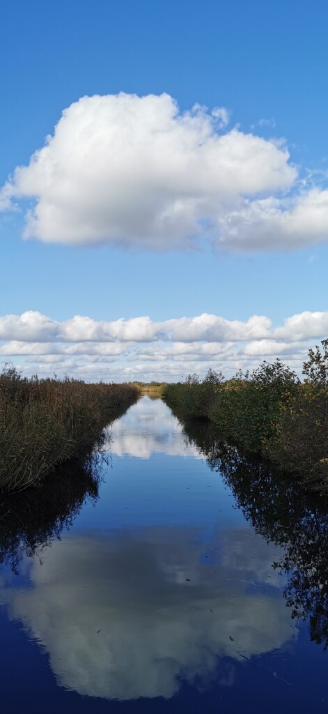 Kamerik Teylingenpad