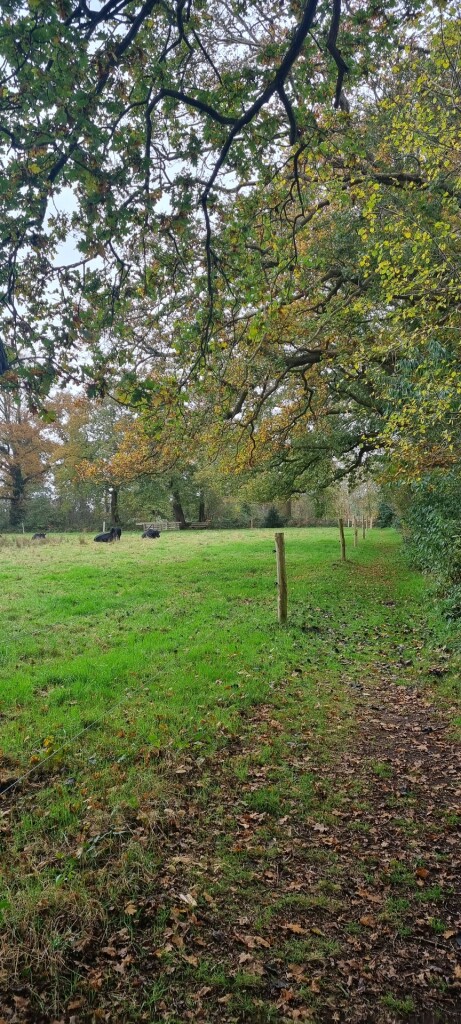 Wandelroute De Acht van Amen