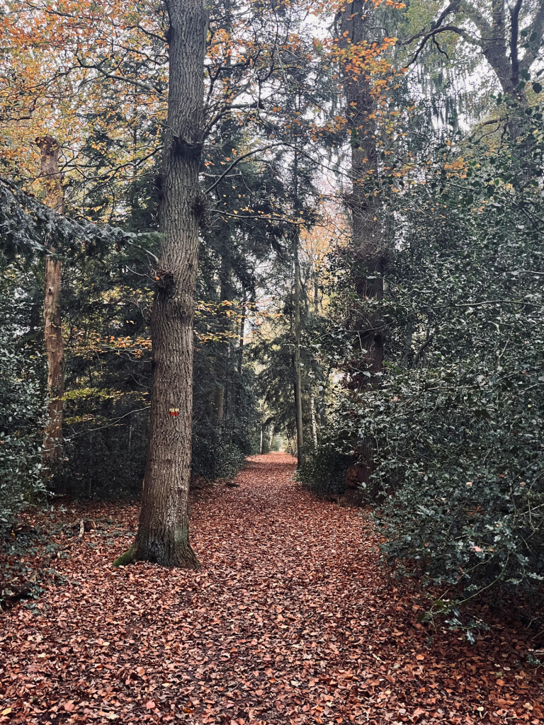 Norg - Roden · Drenthepad etappe 7