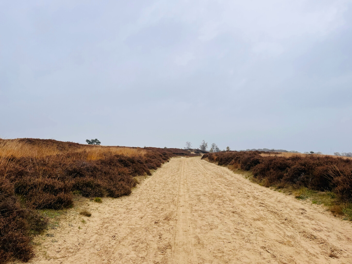 Zuidlaren - Rolde · Roots Natuurpad etappe 5