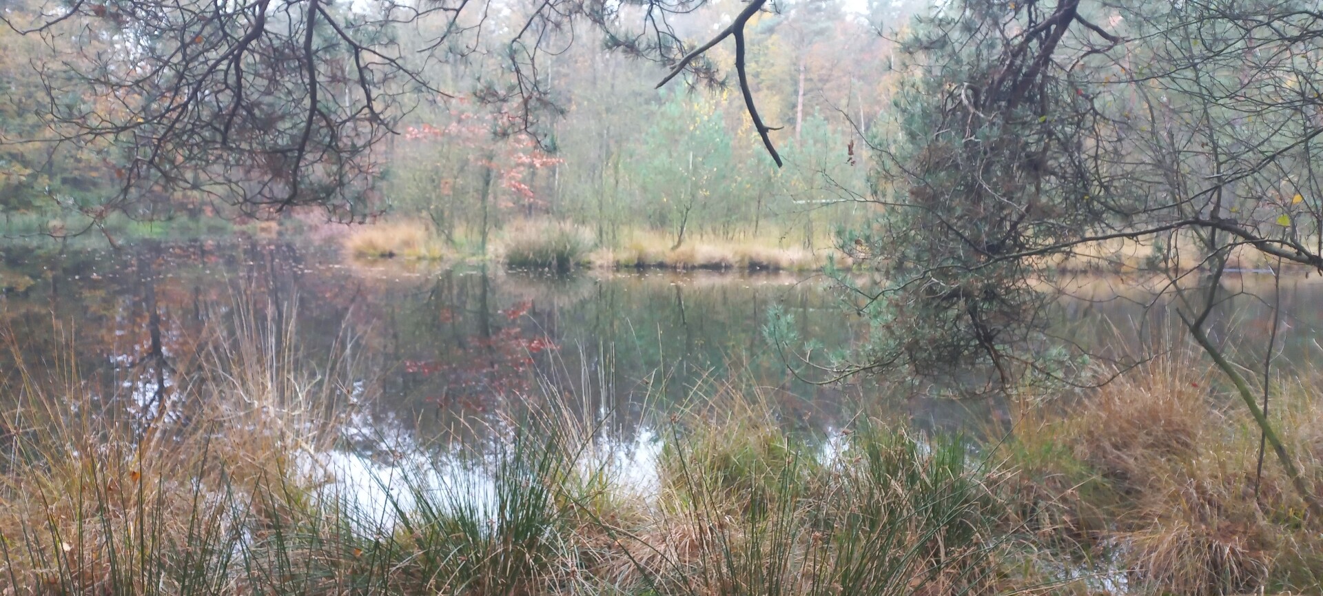 Garderen - Putten · Veluwe Zwerfpad etappe 7