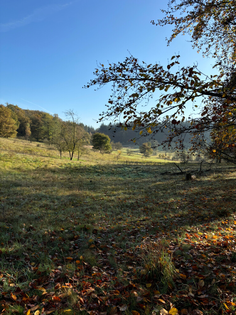 Ontdek te voet al het moois van Soest