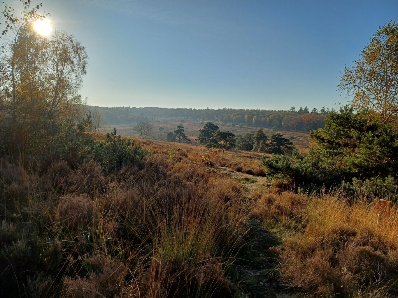 Ugchelermarkepad Ugchelen