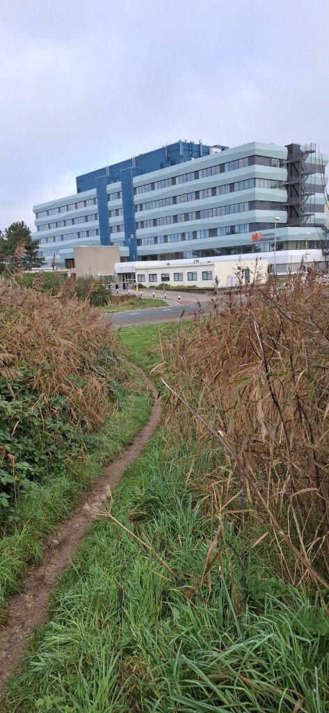 Napoleonroute (oranje)