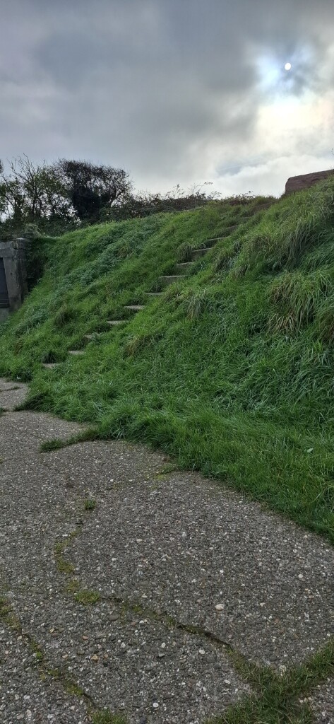 Napoleonroute (oranje)