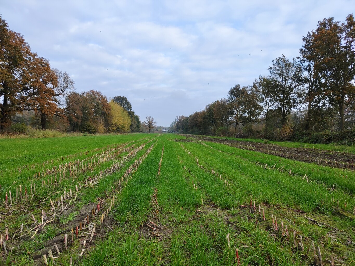 Breukerengpad Bennekom