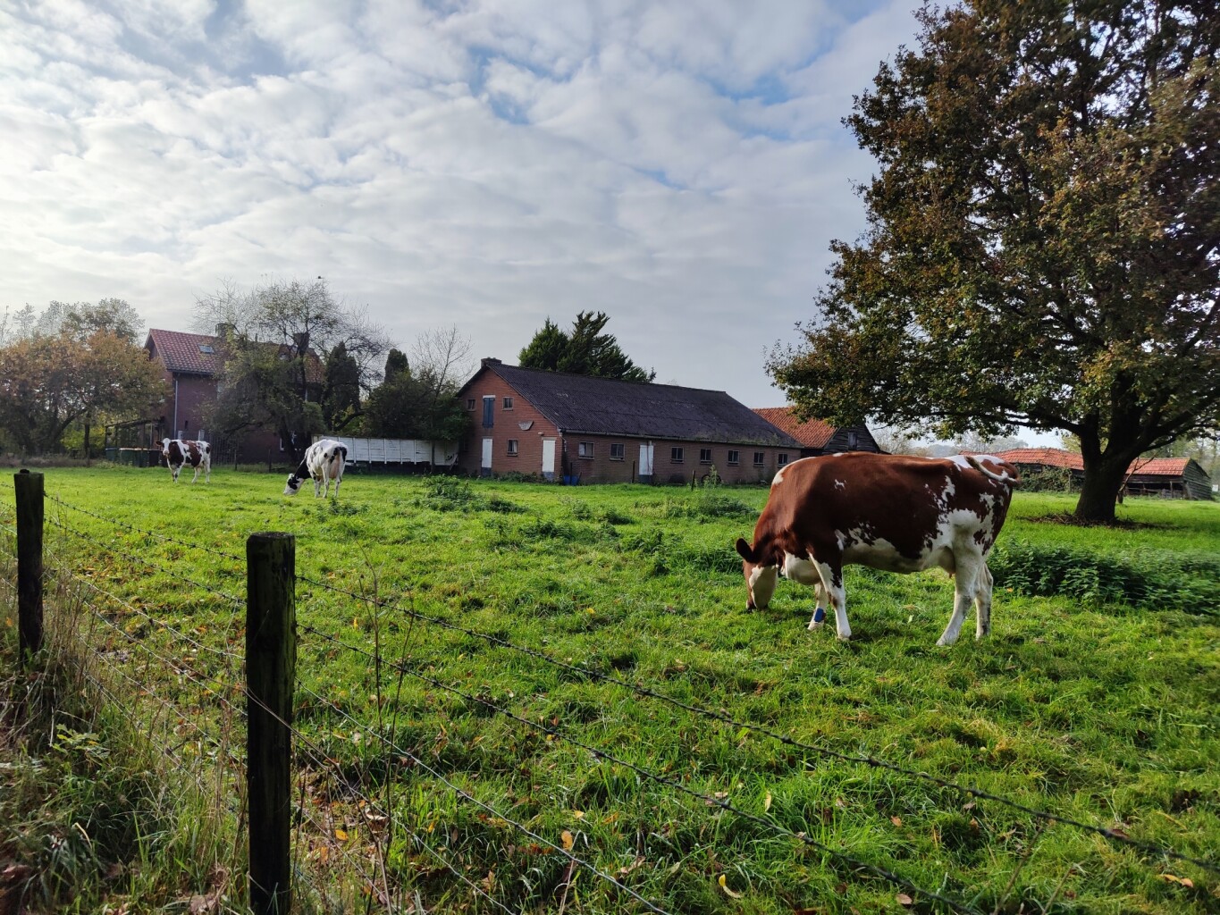 Breukerengpad Bennekom