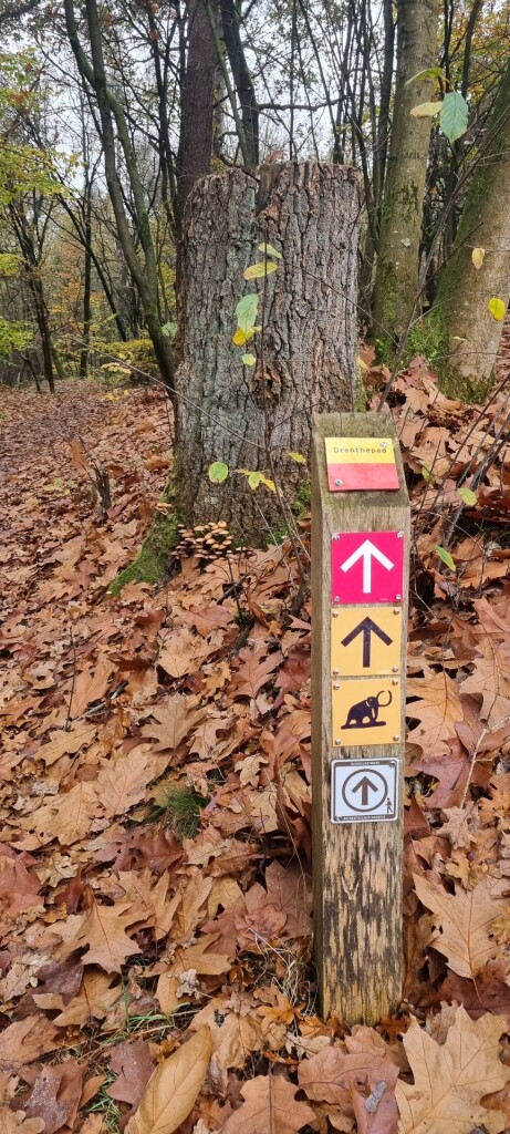 Wandelroute Odoornerdennen