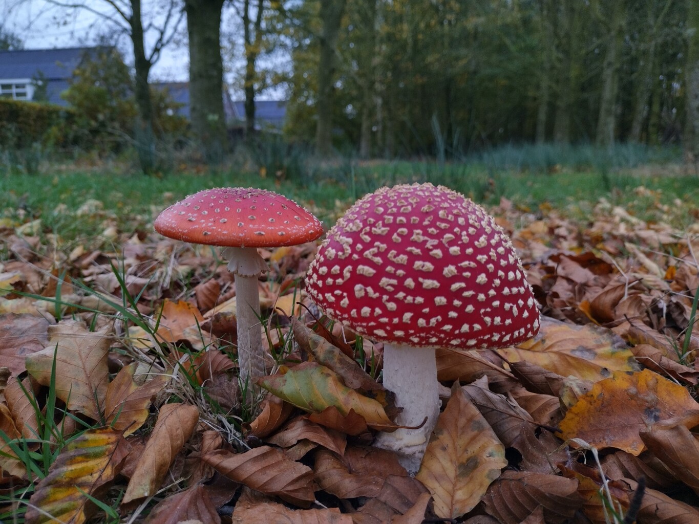 Quatresbras - Aldtsjerk · Noardlike Fryske Wâlden etappe 2