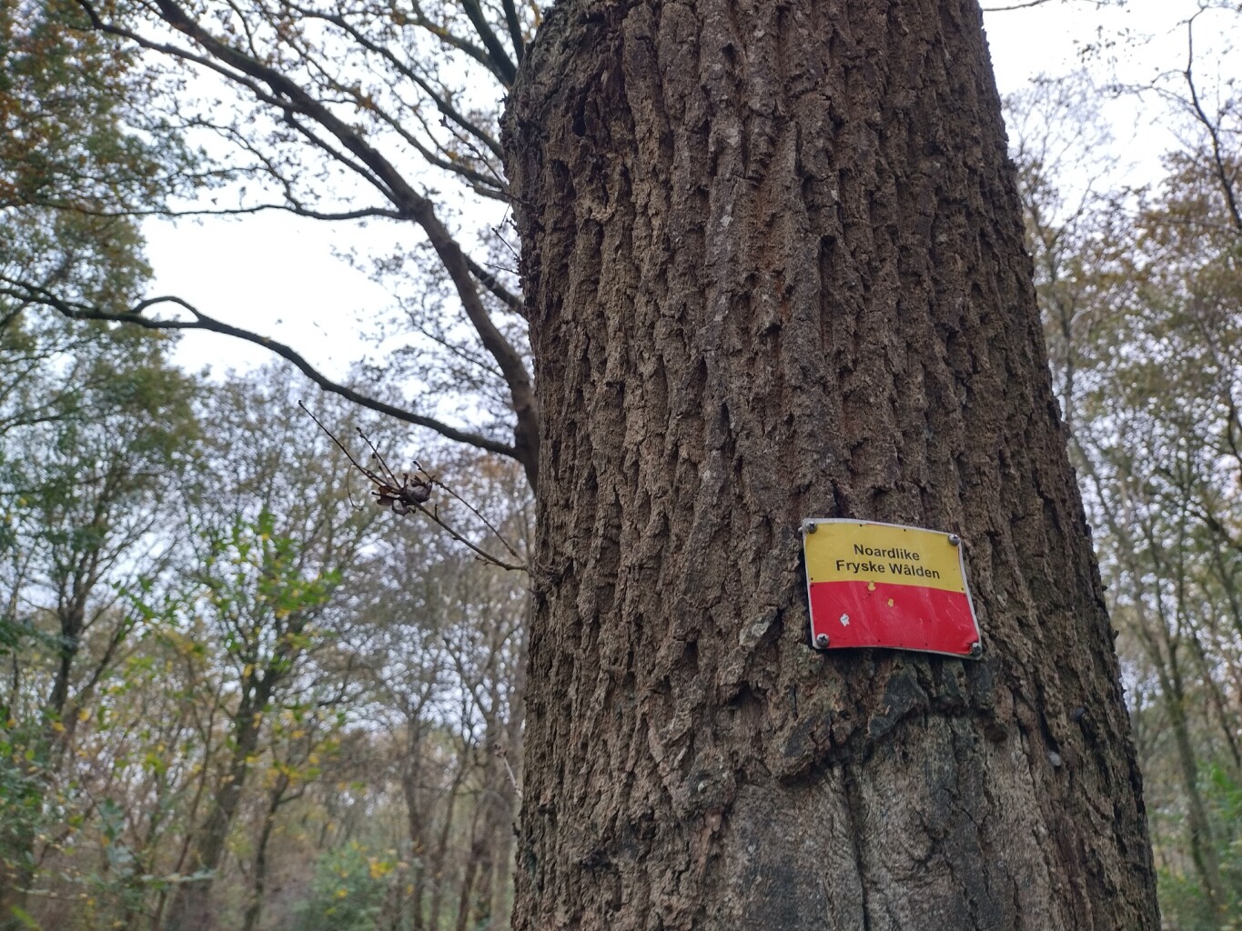Quatresbras - Aldtsjerk · Noardlike Fryske Wâlden etappe 2