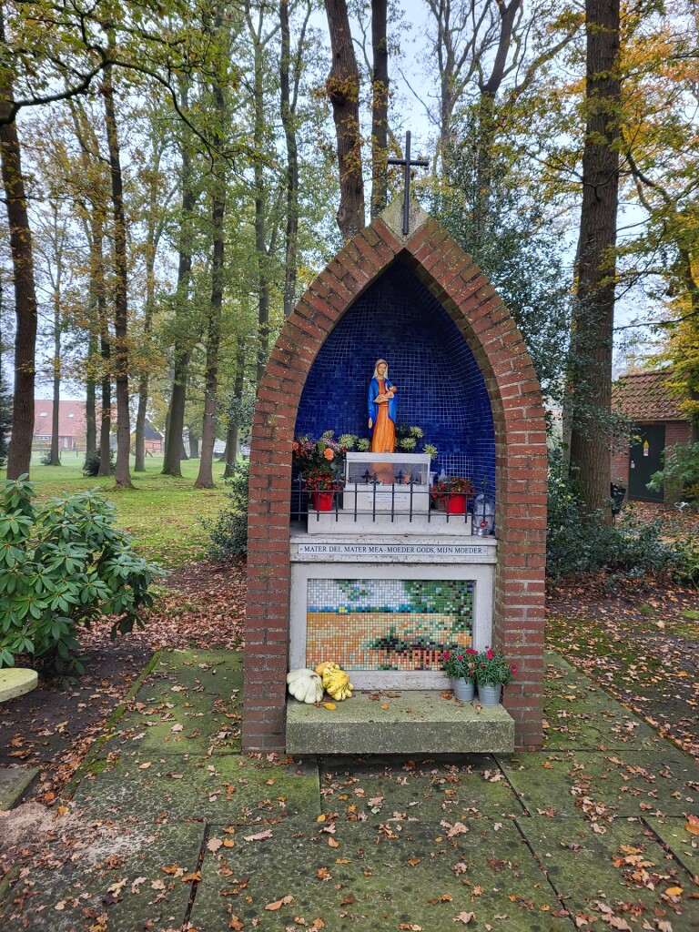 Mosbeek - Geel