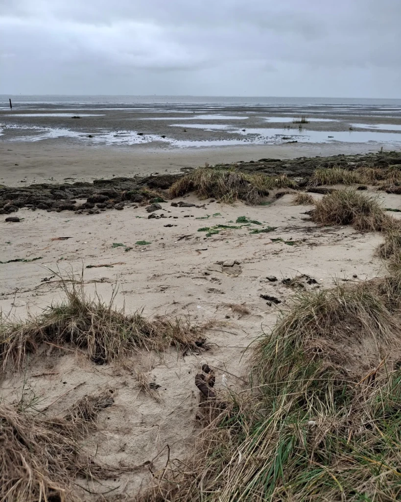Ameland 3: Strandhotel Buren aan Zee - Nes, veerdam · WaddenWandelen etappe 15