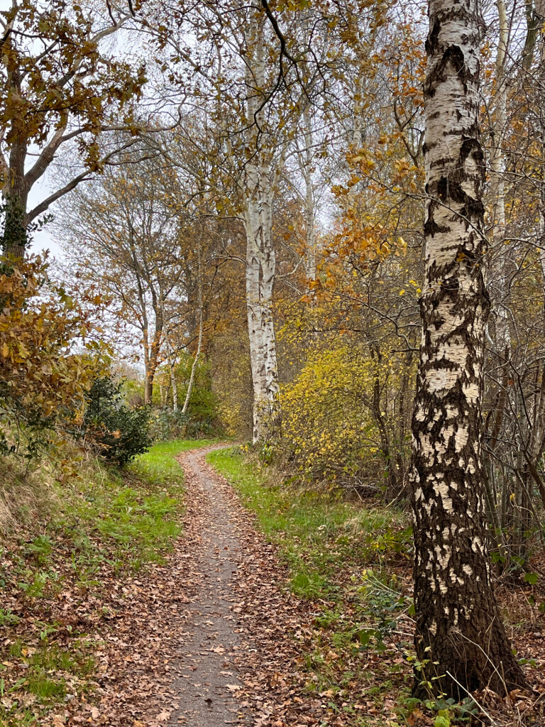 Wolvega - Oldeberkoop · Stellingenpad etappe 8