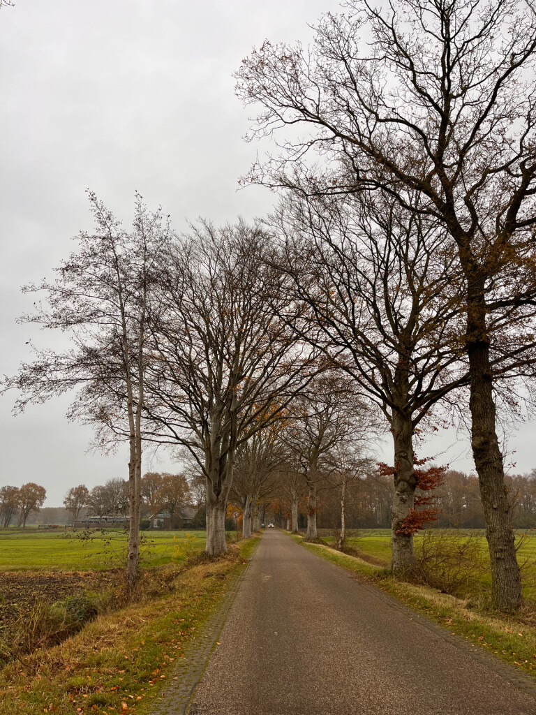 Wolvega - Oldeberkoop · Stellingenpad etappe 8