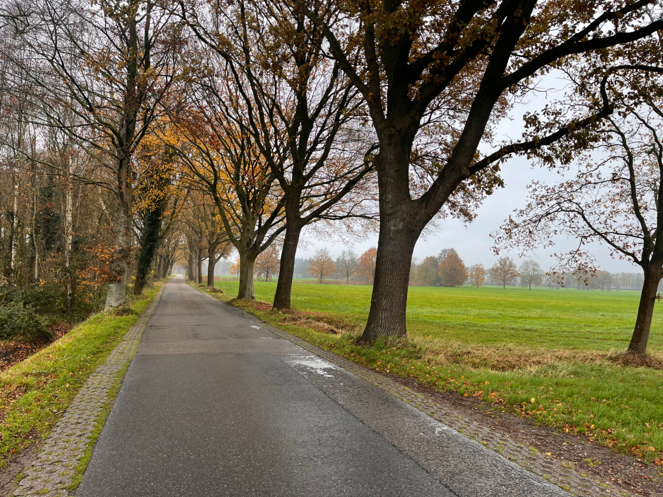 Wolvega - Oldeberkoop · Stellingenpad etappe 8