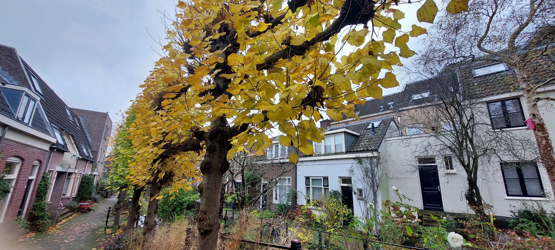 Maarssen - Utrecht · Utrechtpad etappe 11