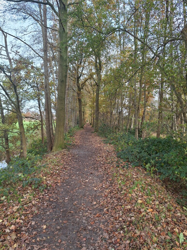 Scherpenzeel Broekerpad