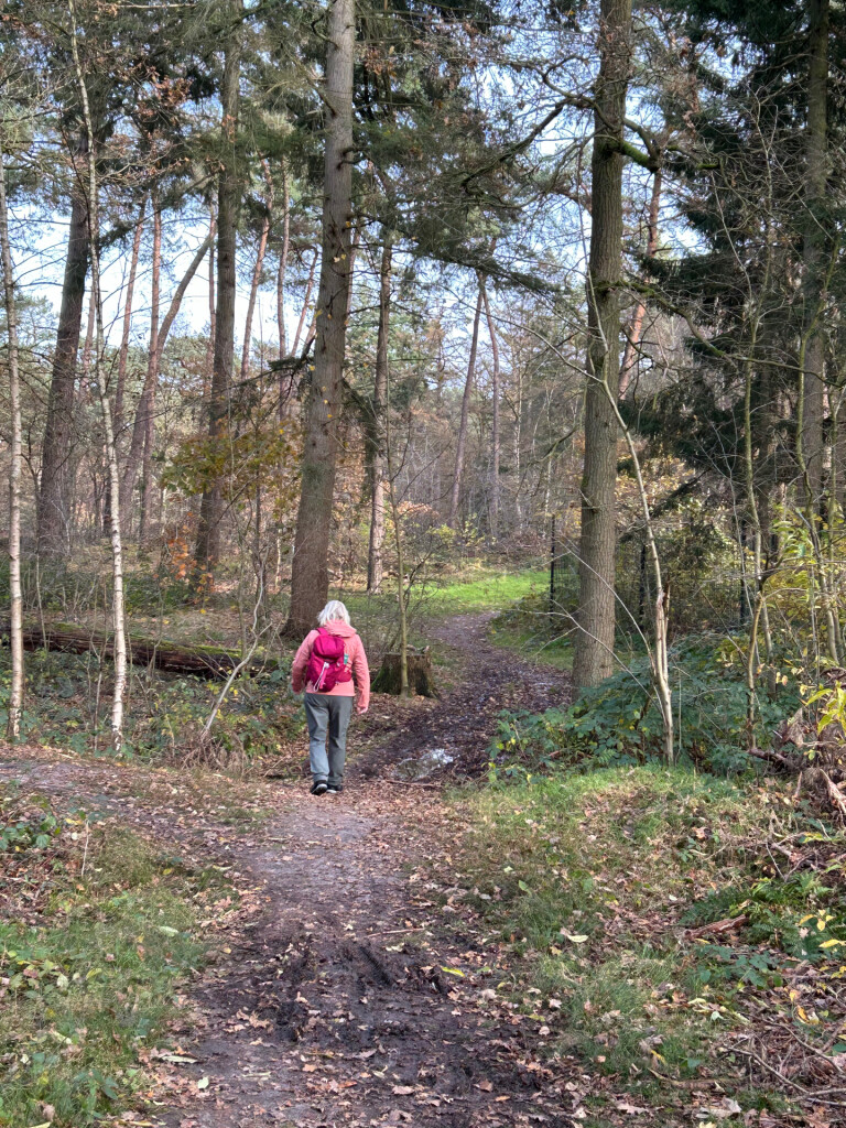 Airbornepad Market Garden - 05 · Airbornepad etappe 5