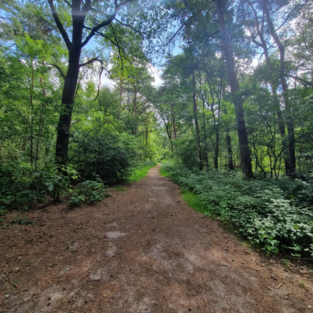 Wandelroute familiepad Emmerdennen