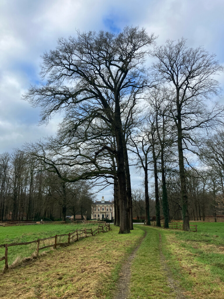 Den Alerdinck/De Colckhof - Rood