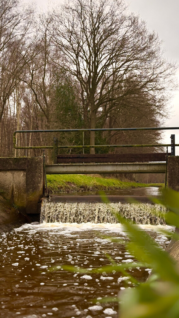 Kwartierdorp - Groen